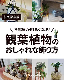 Instagram お部屋が明るくなる!観葉植物のおしゃれな飾り方